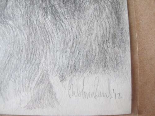 Pencil Sketch by C. Wolmarans