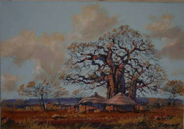 F Badenhost size 350 x 250 "Boabab"