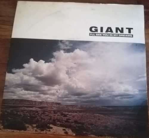 GIANT - I`LL SEE YOU IN MY DREAMS 45RPM RECORD