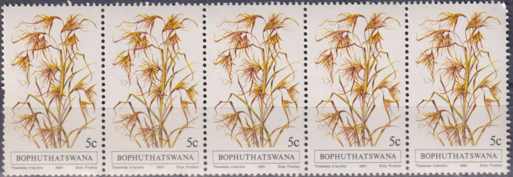 Stamp Bophuthatswana 1981 Indigenous Grasses
