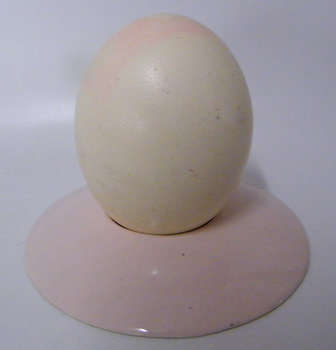 Ostrich Egg on a Stand