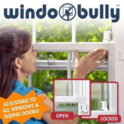 WINDOW BULLY