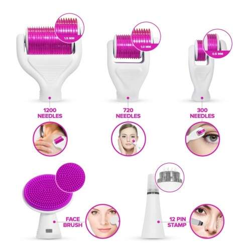 6 IN 1 DERMAROLLER