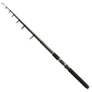 TELESCOPIC FISHING ROD 2M