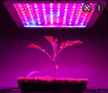 1000W LED GROW LIGHT