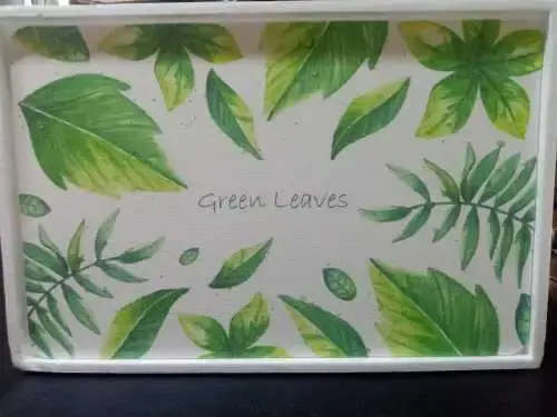 ABSORBENT STONE BATH MAT-DIATOMITE