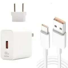 66W Type C cable + Adaptor Charger