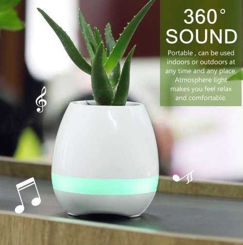 MUSIC FLOWER POT