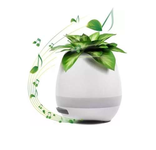 MUSIC FLOWER POT