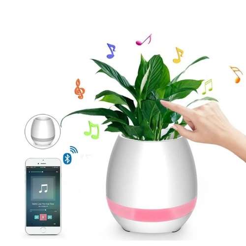 MUSIC FLOWER POT