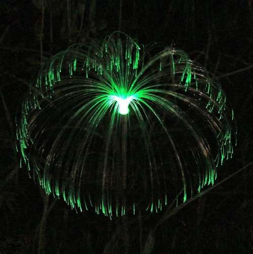 2PK SOLAR LAWN FIBRE LIGHT