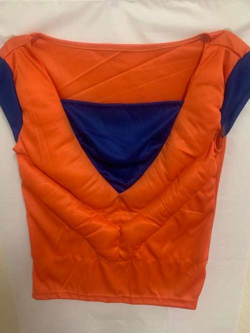 DRAGON BALL Z GOKU PADDED COSTUME