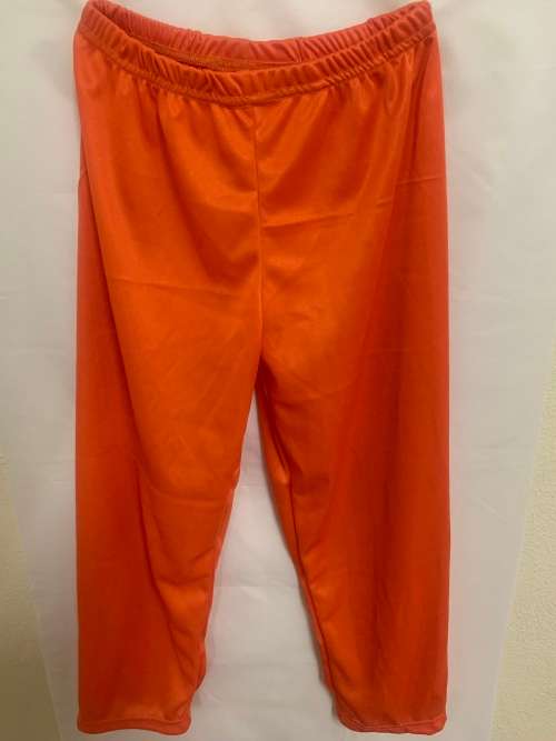 DRAGON BALL Z GOKU PADDED COSTUME