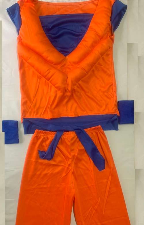 DRAGON BALL Z GOKU PADDED COSTUME