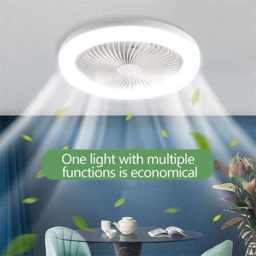 Multi-Function LED Fan Light
