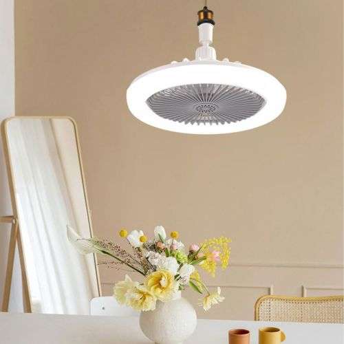 Multi-Function LED Fan Light