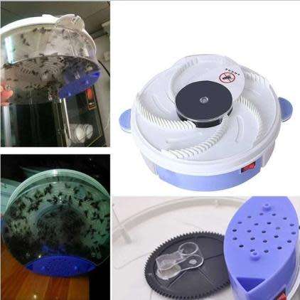 Electric Fly Trap