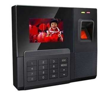 Professional Color Screen Fingerprint Time Attendance With USB+RFID Card Reading