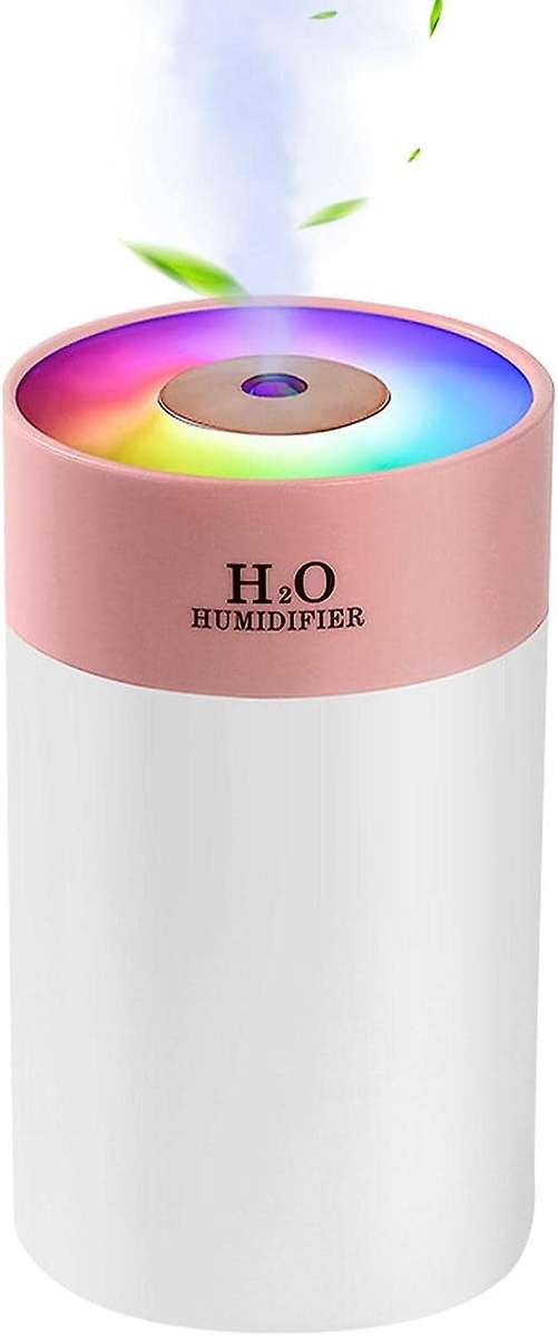 H2O Humidifier