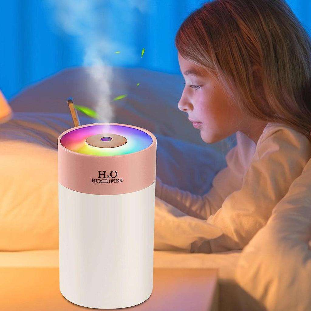 H2O Humidifier