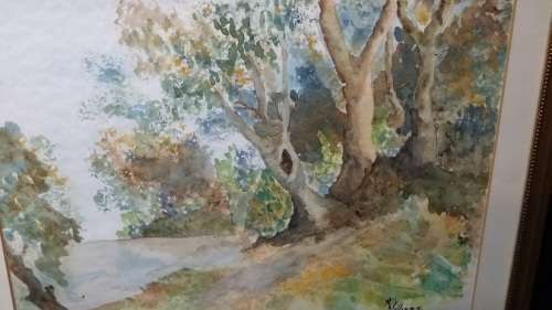 ART : WATER COLOURS SIGNED : WOOD AND GLASS FRAMED