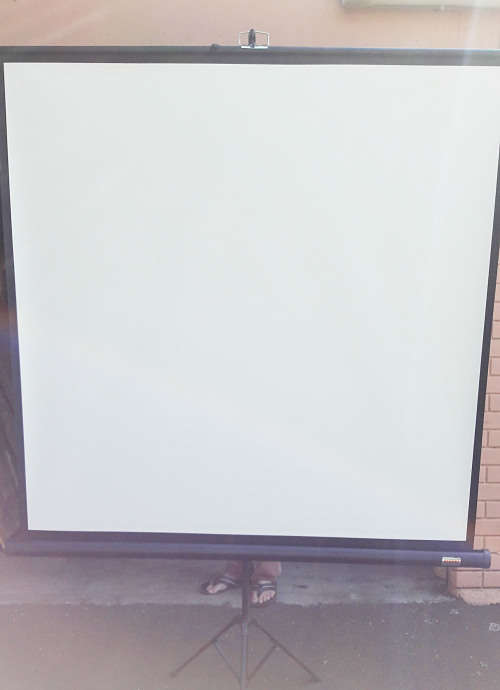 Parrot Projector Screen