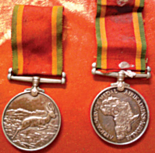 ww2 service medals springbok
