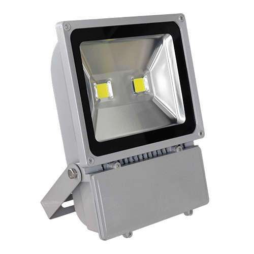 LED Flood Light (Spot light) 100W - ON SALE!