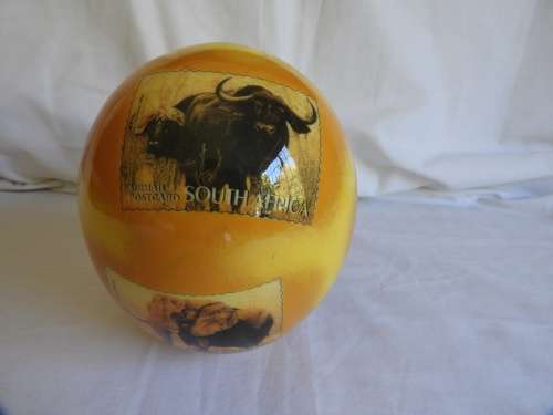 Ostrich Egg