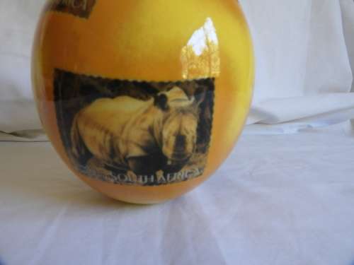 Ostrich Egg