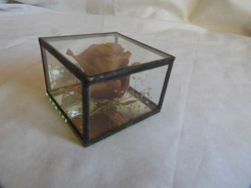 Rose in glass box