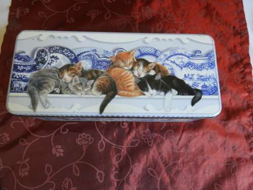 Cake / cookie tin with cats