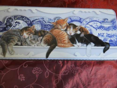 Cake / cookie tin with cats