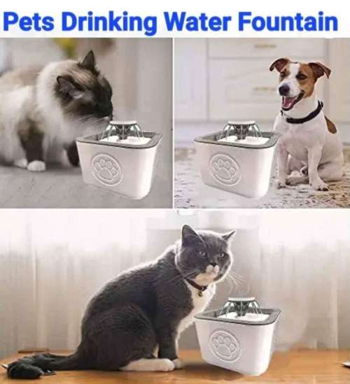 Pets Drinking Water Fountain