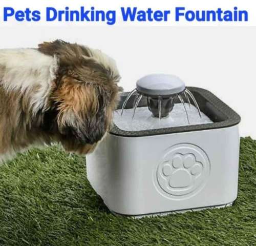 Pets Drinking Water Fountain