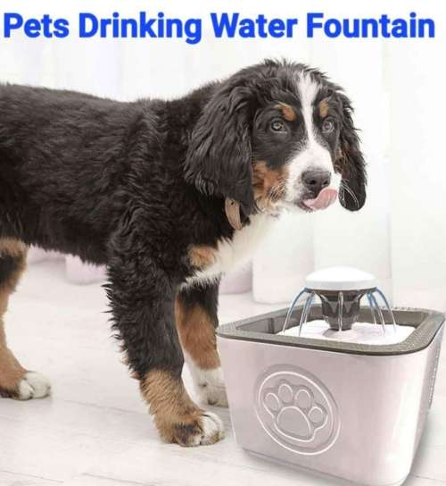 Pets Drinking Water Fountain