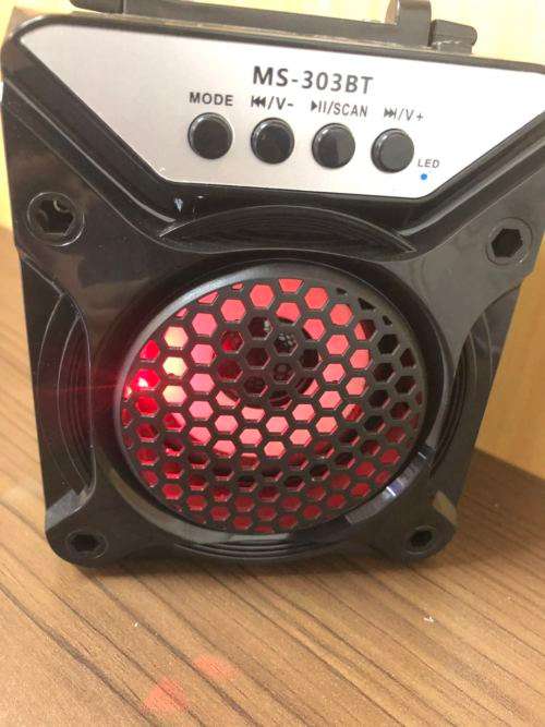 Bluetooth Portable SpeakerMS-303BT