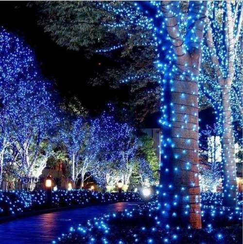 10M  Christmas Fairy Lights -- white/blue