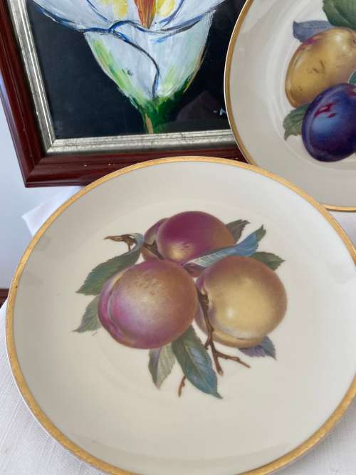 ROSENTHAL GERMANY PORCELAIN SIGNED EXOTIC FRUIT DECORATIVE GOLD RIMMED PLATES X 3