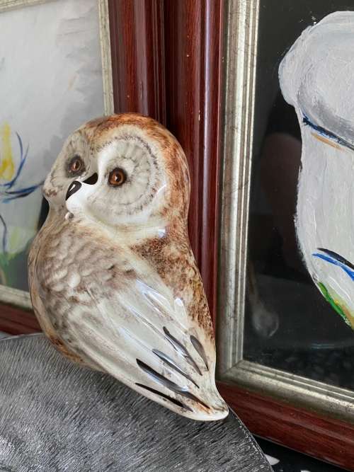 VINTAGE BABBACOMBE DEVON UK POTTERIES TONI RAYMOND WALL MOUNTED WISE OWL STRING HOLDER - CIRCA 1970