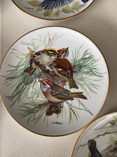 VINTAGE BY ALT TIRSCHENREUTH GERMANY SIGNED U. BAND and NUMBERED FOR WWF SET OF 7 x BIRD PLATES