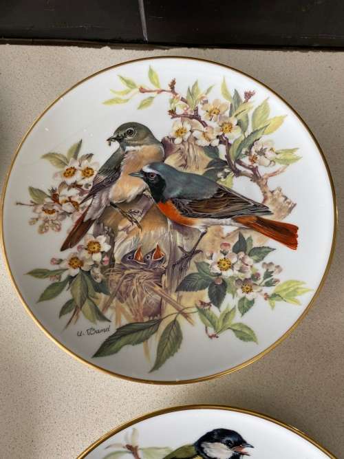 VINTAGE BY ALT TIRSCHENREUTH GERMANY SIGNED U. BAND and NUMBERED FOR WWF SET OF 7 x BIRD PLATES