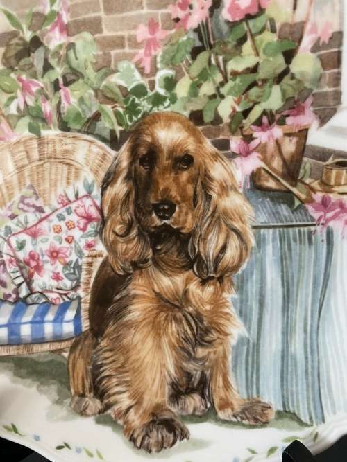 ROYAL ALBERT ENGLAND `DEVOTION` PLATE MAN`S BEST FRIEND COCKER SPANIEL NO.2 OF 1989 COLLECTION