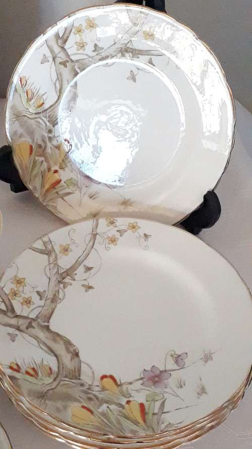Vintage Royal Delphine Bone China