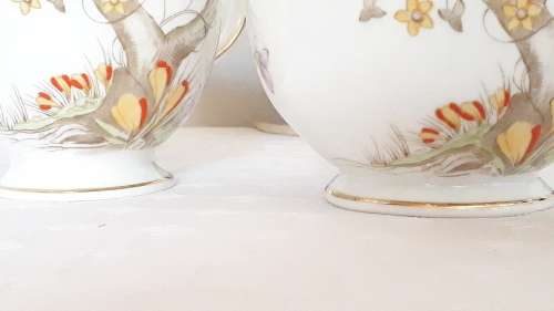 Vintage Royal Delphine Bone China
