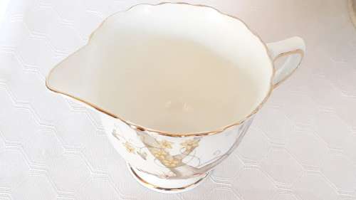 Vintage Royal Delphine Bone China