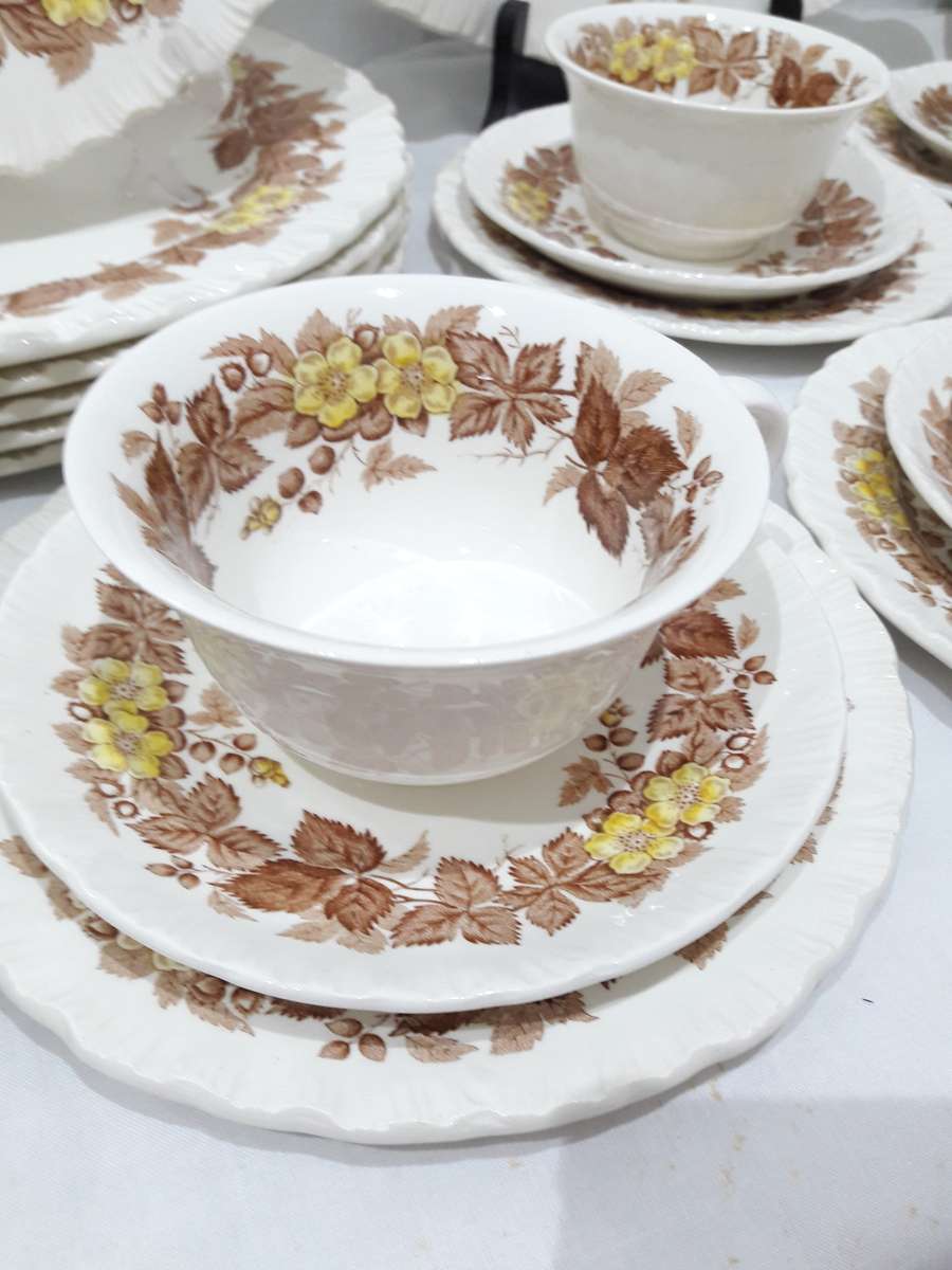 Vintage Wedgwood `Wildbriar` dinnerset