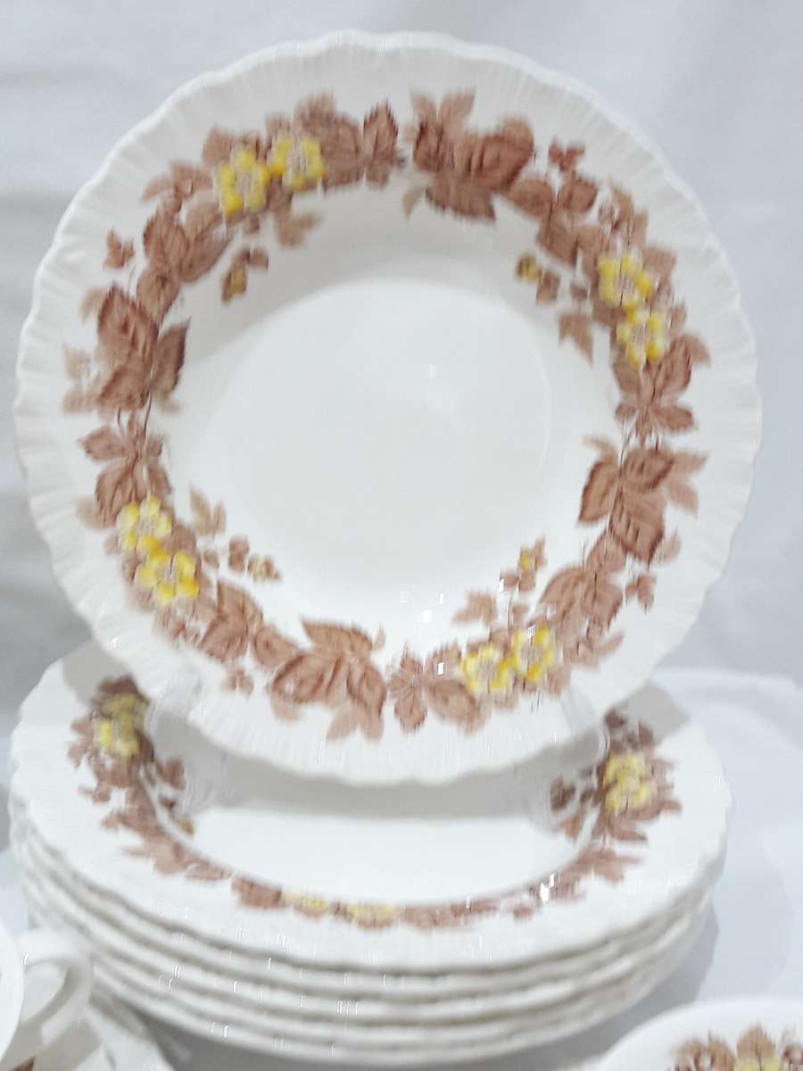 Vintage Wedgwood `Wildbriar` dinnerset