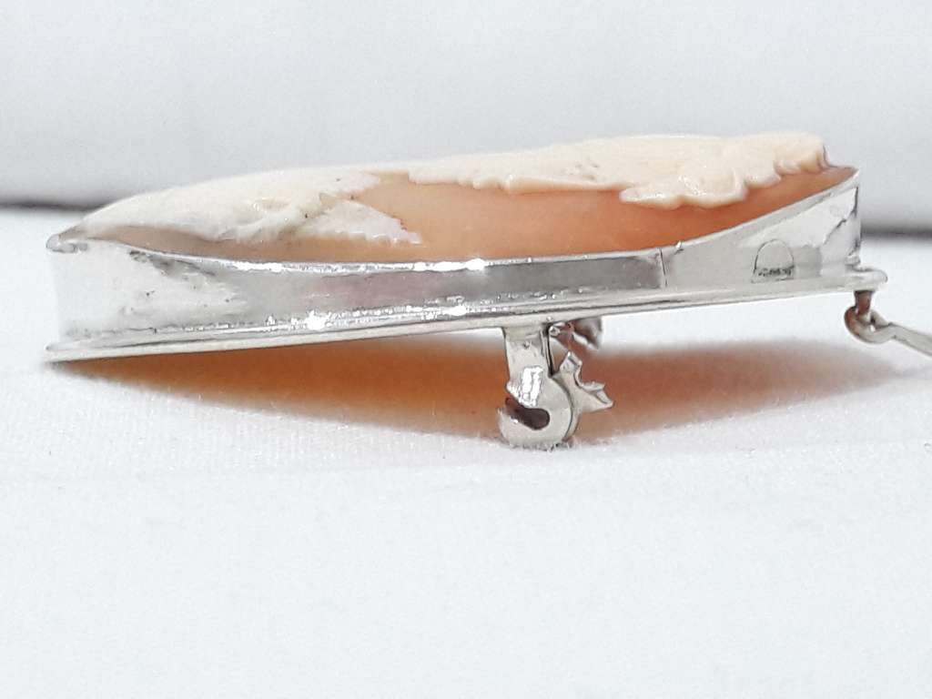 Vintage cameo brooch/pendant