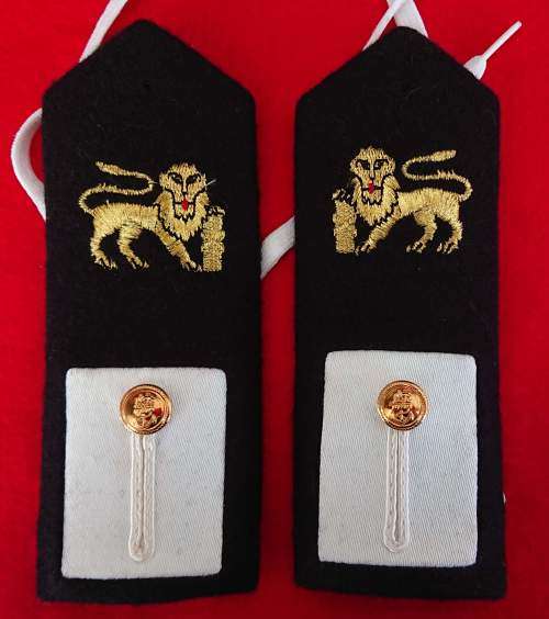 SA Navy pair of Permanent Force Midshipman rank